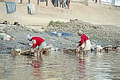 Varanasi - Dhobi Ghat, alive with the sound of dhobi (laundrymen)  